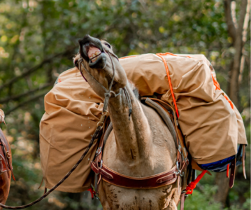 Sind Sie neugierig geworden?