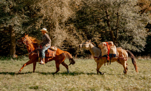 Erfahrungsberichte & Fotogalerie